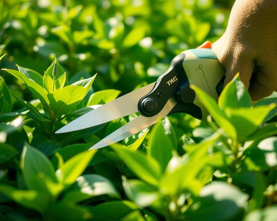 Elektrische Gartenscheren für präzises Schneiden