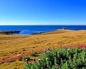 Natur und Parks in Churchill, Manitoba