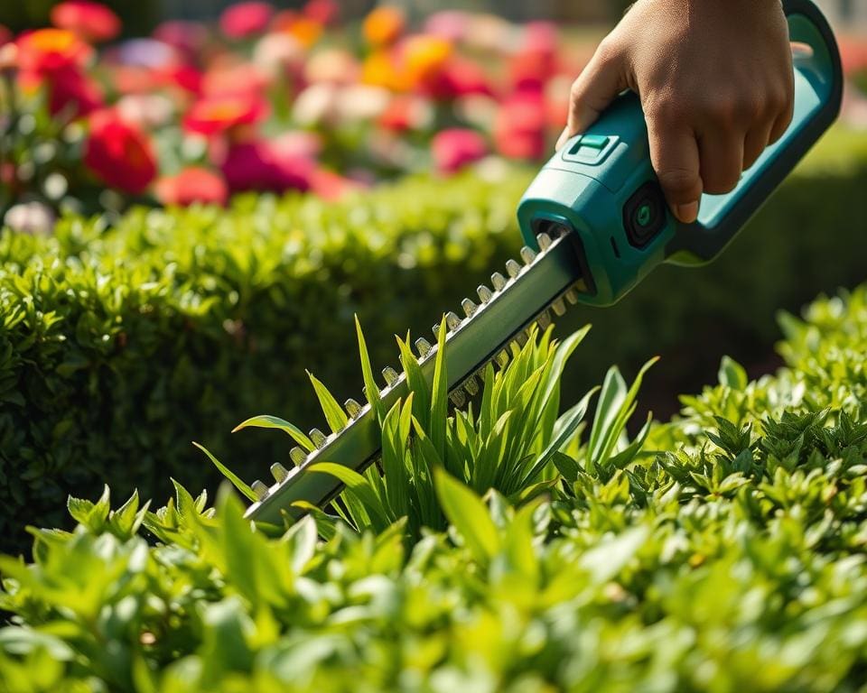 Präzisionsschnitt mit elektrischer Gartenschere