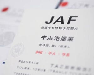 Was unterscheidet die JAF-Übersetzung von anderen? 🇯🇵