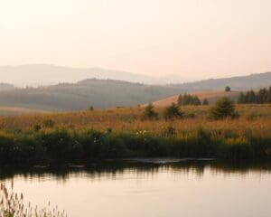 Welche Farben sind zeitlos?