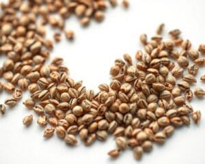 Wie gesund ist Brennnesselsamen?