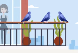 Suisse Birds Schweiz Vogelabwehr im Storenkasten