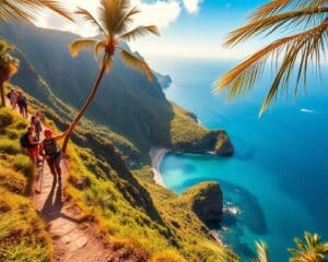 Wie erkundest du die Insel Madeira?