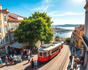 Was macht Lissabon lebendig und farbenfroh?