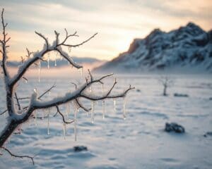 Wie erlebt man Island im tiefen Winter?