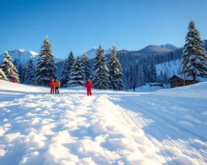 Wie erlebt man Wintertage in Laax?
